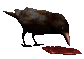 Ravensbreath raven Ravensbreath raven