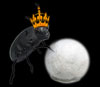 William the Royal Ravensbreath Stinkbug