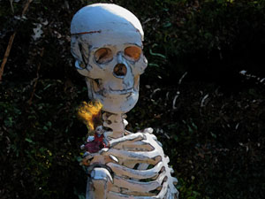 Skeleton friend with Molly ghost Skeleton friend with Molly ghost